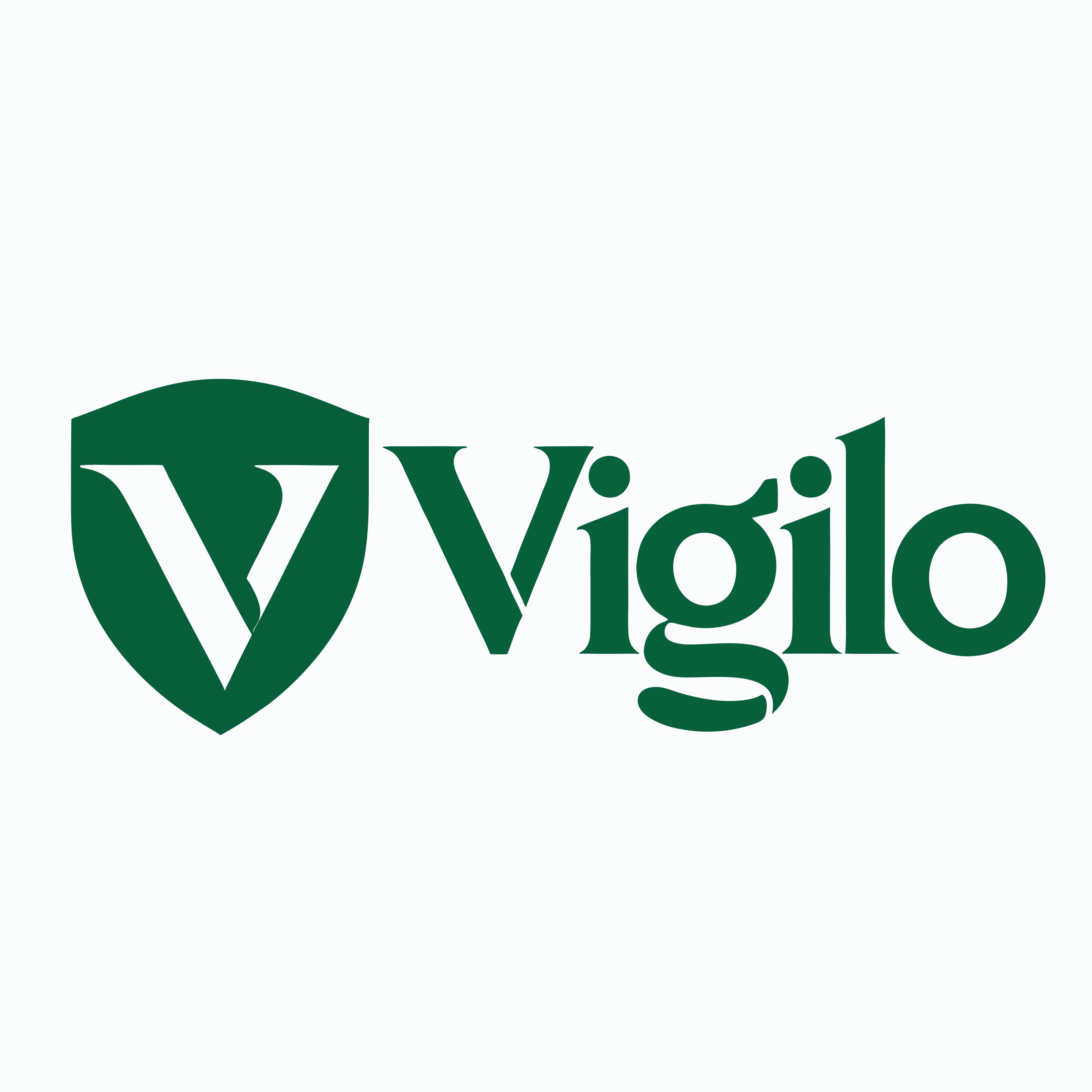 Vigilo