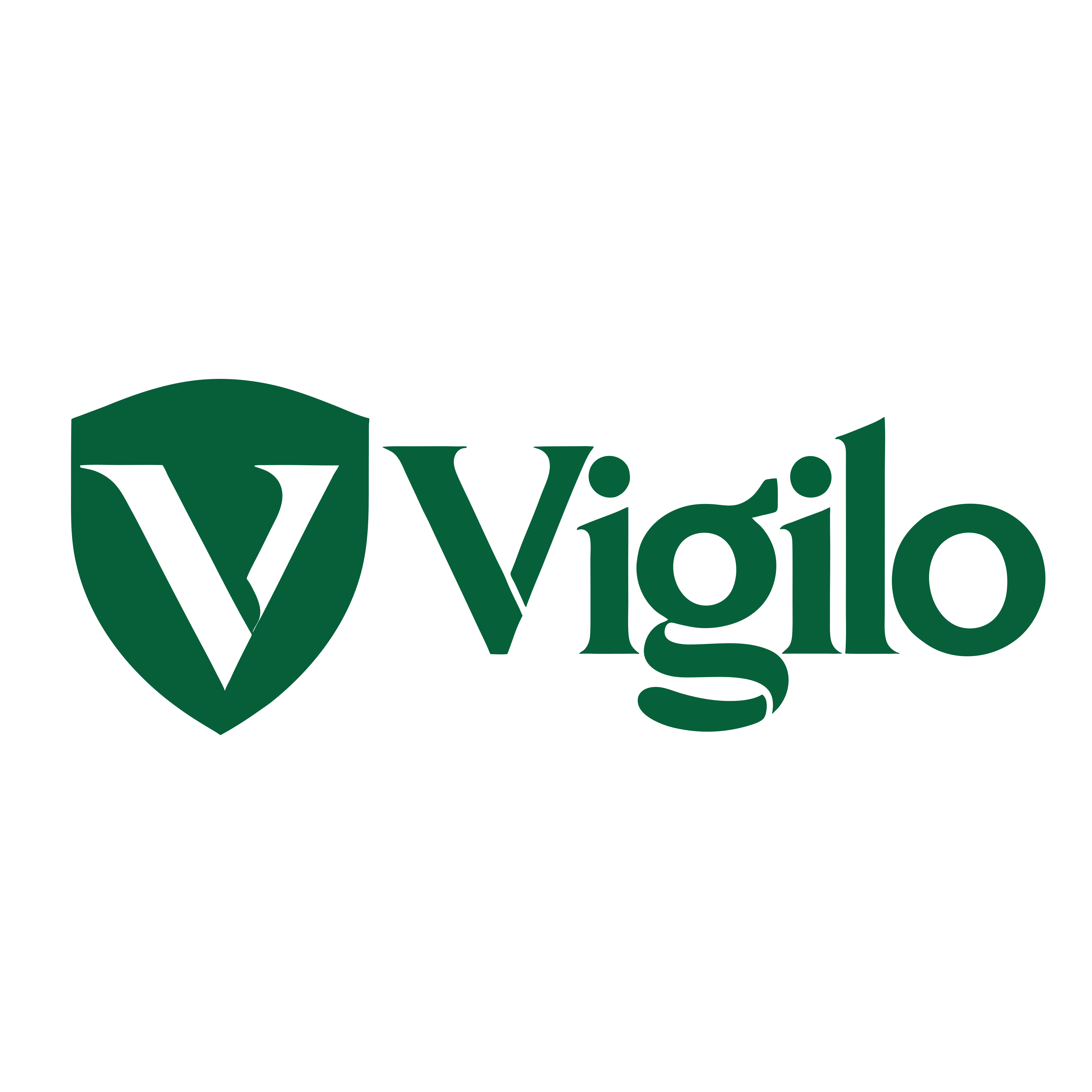 Vigilo